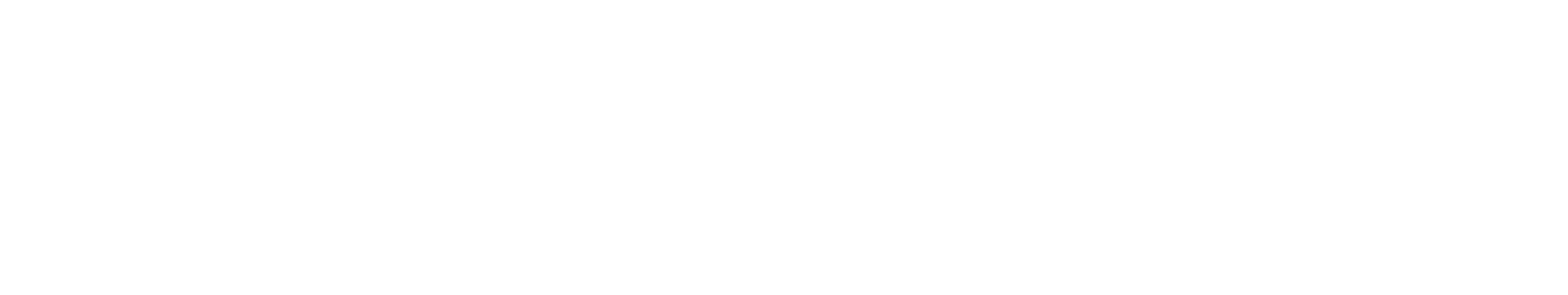 logo Liquid Web